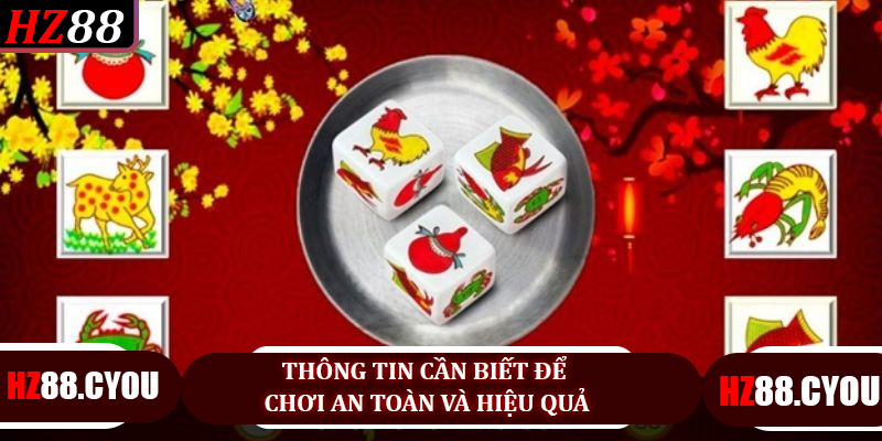 Thông tin cần biết để chơi an toàn và hiệu quả