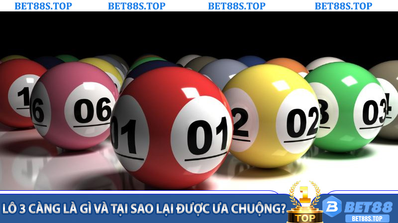 Lô 3 Càng là gì và tại sao lại được ưa chuộng?