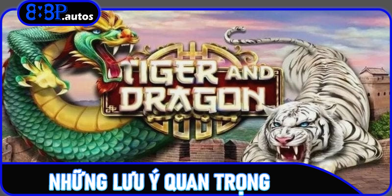 Những lưu ý quan trọng cho người mới chơi Rồng Hổ