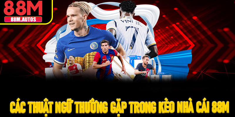 Các thuật ngữ thường gặp trong kèo nhà cái 88M
